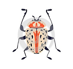 Spotted beetle. Fancy fiction wild bug icon, top view. Fantasy fauna species. Summer animal, wild insect with spotty