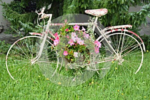 Spotted Bicycle With Flowers