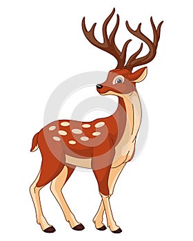 Spotted deer cartoon vector illustration