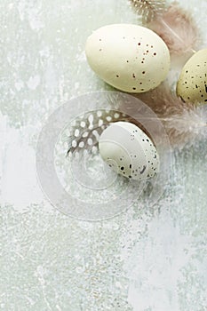 Spotted Easter eggs with feathers
