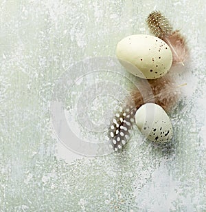 Spotted Easter eggs with feathers