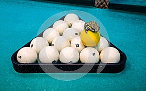 Spotted green frog on  pool table with old dirty billiard balls and shabby dusty green cloth. the concept of foul play, toad of