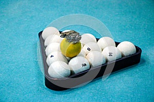 Spotted green frog on  pool table with old dirty billiard balls and shabby dusty green cloth. the concept of foul play, toad of