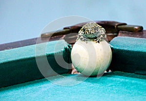 Spotted green frog on  pool table with old dirty billiard balls and shabby dusty green cloth. the concept of foul play, toad of