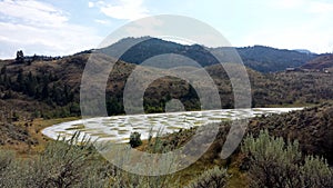 Spotted lake near Osoyoos, Similkameen Valley, British Columbia, Canada photo