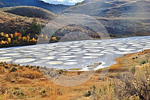 Spotted lake in Okanagan Vallye, Osoyoos, British Columbia.