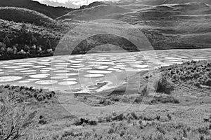 Spotted lake in Okanagan Vallye, Osoyoos, British Columbia.