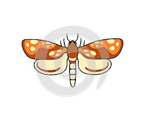 Spotted nocturnal moth, butterfly and moth, logo design. Flying insects, nature, entomology and entomological, vector design