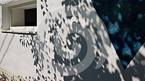 Spotted shadows from tree foliage on white stucco wall background