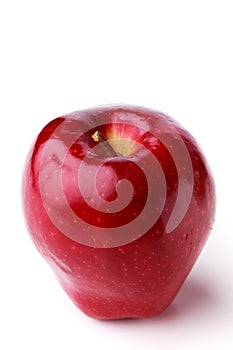 Spotted single ripe juicy red apple