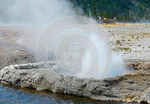 Spouting Geyser Letting Off Steam At Yellowstone National Park