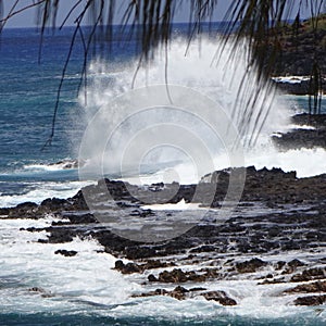 Spouting horn kauai