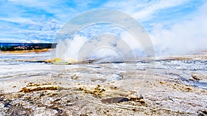 Spouting water of the active Jelly Geyser with its yellow sulfur mineral mount in the Lower Geyser Basin in Yellowstone