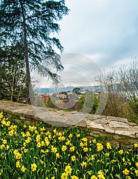 Spr ng garden with flowers a the Small Ottoman Palace named Hidiv Kasri , located on the Asian side of the Bosphorus photo