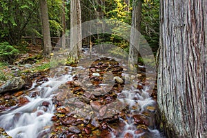 Sprague Creek