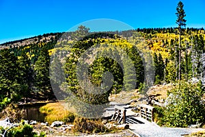 Sprague Lake Rocky Mountain National Path