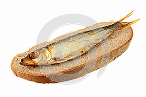 Sprat of cold smoking photo