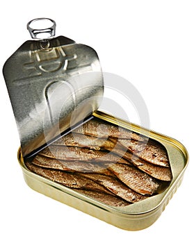 Sprat fish photo