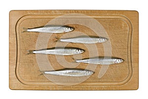 Sprat Fish photo