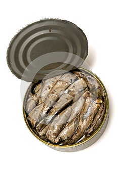 Sprat fish