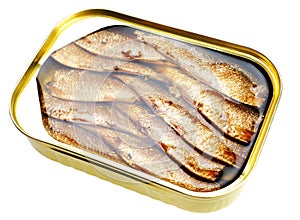 Sprat fish canned photo
