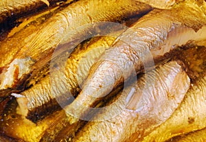 Sprat fish canned