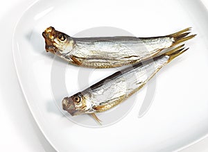 SPRAT sprattus sprattus, SMOKED FISH ON PLATE