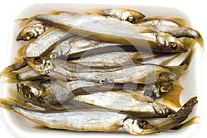 Sprat on white