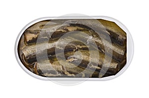 Sprats in bank, the top view