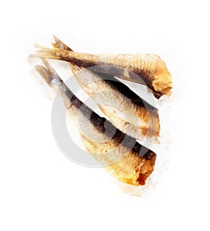 Sprats drawn on a white background