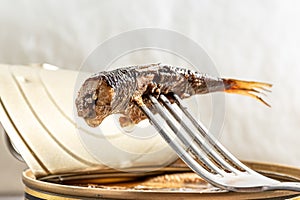 Sprats fish on inox fork above metal jar, smoked herring. close up photo