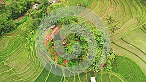 Sprawling green rice fields and villages east of the city of Bandung, West Java. Indonesia.