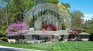 Sprawling Ranch House with Colorful Springtime Foliage