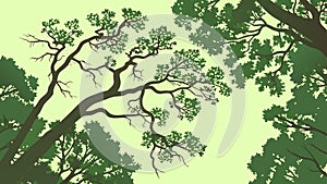 Sprawling Tree Branches, Natural Organic Form, vector design Generative AI photo