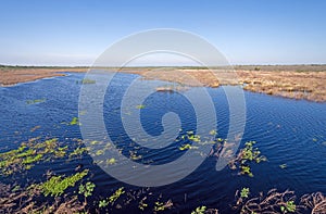 Sprawling Wetlands on the Texas Coast