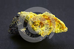 Spray of becquerelite crystals with uranophane needles from the old Shinkolobwe