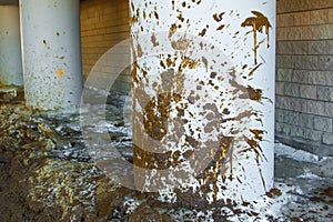 Spray dirt on poles under the bridge on an impassable road. photo