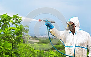 Spray ecological pesticide. Farmer fumigate in protective suit and mask lemon trees. Man spraying toxic pesticides, pesticide,