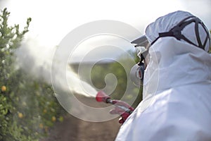 Spray ecological pesticide. Farmer fumigate in protective suit and mask lemon trees