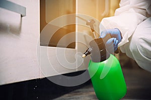 Spray gun with pesticides close-up. An exterminator in work clothes sprays pesticides from a spray bottle. Fight against