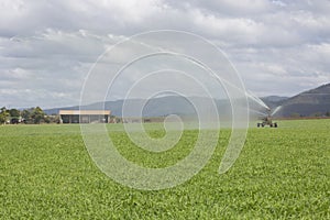 Spray Irrigator and Farm Shed