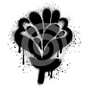 Spray Painted Graffiti flower Sprayed isolated with a white background