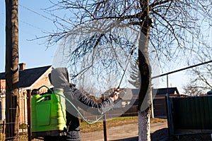 Spray pesticides, pesticide on fruit tree. Defocus farmer man spraying tree with manual pesticide sprayer against
