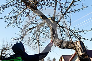 Spray pesticides, pesticide on orchard. Defocus farmer man spraying tree with manual pesticide sprayer against insects in spring