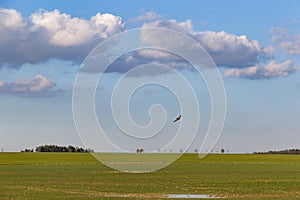 A spray plane applies chemicals to a field. Agricultural aviation