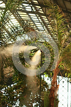 Spray pole in Atocha