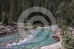 Spray River  in Banff National Park