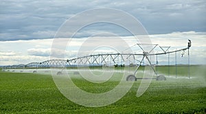 A spray water irrigation system at an agriculture facility farm in Lethbridge
