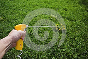 Spray weed killer photo