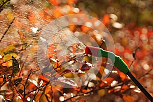 Sprayer in action. Last season, autumn spraying in the orchard a